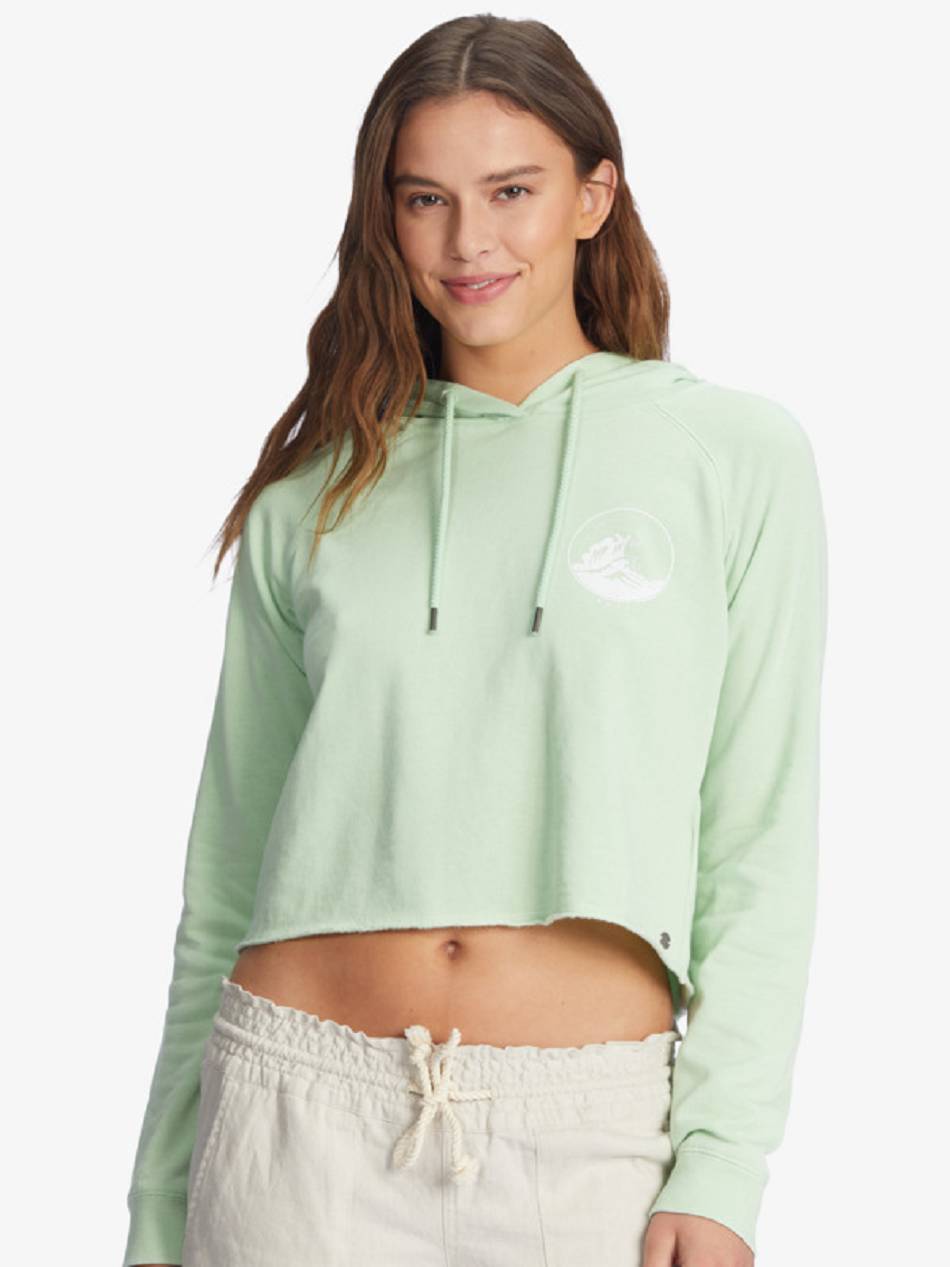 Women\'s Roxy We Arrived Hoodies green | NZ_LW9030