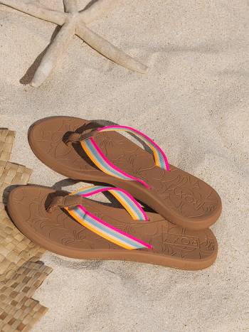 Women's Roxy Colbee Flip Flops Multicolor | NZ_LW5322