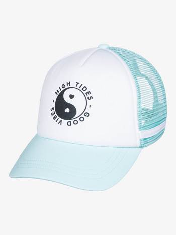 Women's Roxy Dig This Hats Light blue | NZ_LW1893