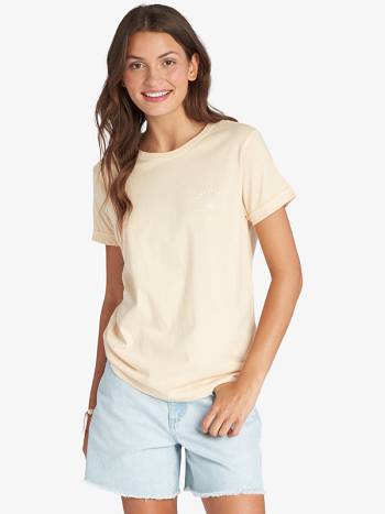 Women's Roxy Grateful Sun Boyfriend T-Shirt Beige | NZ_LW3148