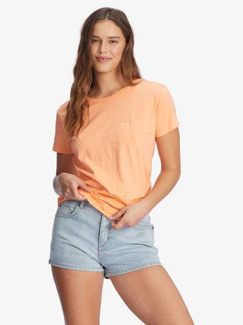 Women's Roxy Log Morning Boyfriend T-Shirt Beige | NZ_LW5506