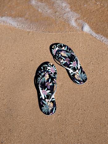 Women's Roxy Portofino Flip Flops Black | NZ_LW6844