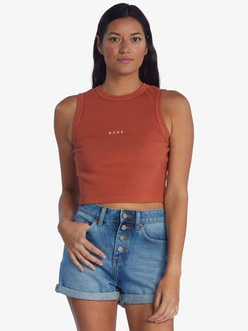 Women's Roxy Roxify T-Shirt Brown | NZ_LW2839