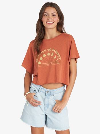 Women's Roxy Sunrise To Sunset Drop Shoulder T-Shirt Brown | NZ_LW6126