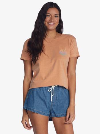 Women's Roxy Waves Of Change Boyfriend T-Shirt Brown | NZ_LW2007