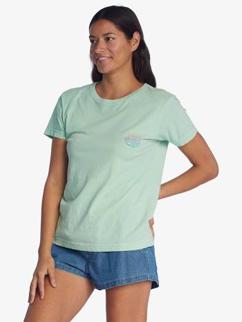 Women's Roxy Waves Of Change Boyfriend T-Shirt green | NZ_LW4042