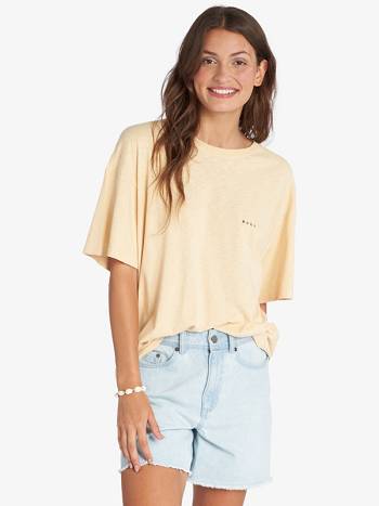 Women's Roxy Welcome To Paradise Boyfriend T-Shirt Beige | NZ_LW8537